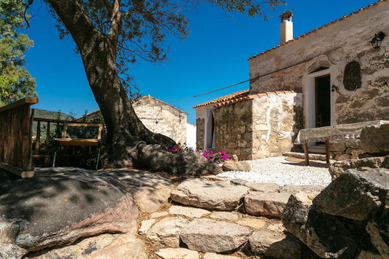 Casa Vacanza Stazzu Saiacciu Palau Exterior foto